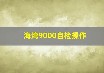 海湾9000自检操作