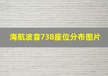 海航波音738座位分布图片