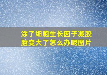 涂了细胞生长因子凝胶脸变大了怎么办呢图片