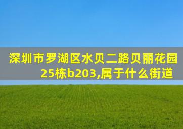 深圳市罗湖区水贝二路贝丽花园25栋b203,属于什么街道