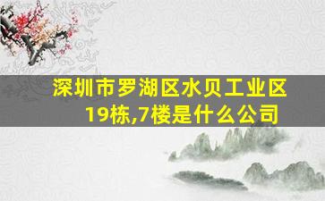 深圳市罗湖区水贝工业区19栋,7楼是什么公司