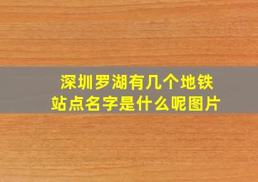 深圳罗湖有几个地铁站点名字是什么呢图片