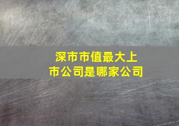 深市市值最大上市公司是哪家公司