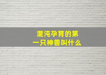 混沌孕育的第一只神兽叫什么