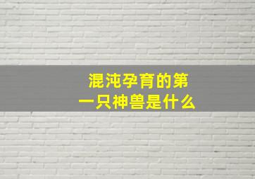 混沌孕育的第一只神兽是什么