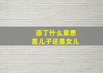 添丁什么意思是儿子还是女儿