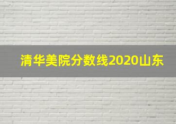 清华美院分数线2020山东