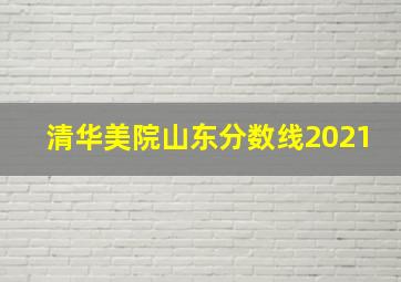 清华美院山东分数线2021