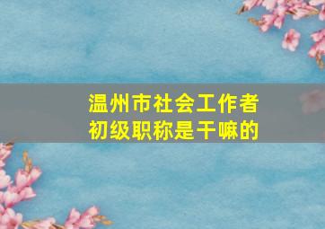 温州市社会工作者初级职称是干嘛的