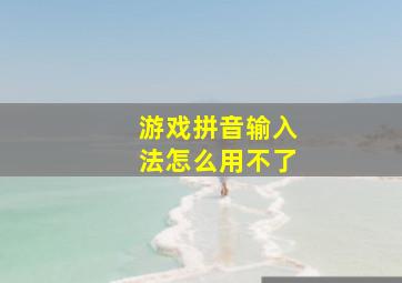 游戏拼音输入法怎么用不了