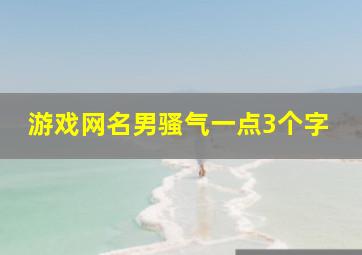 游戏网名男骚气一点3个字