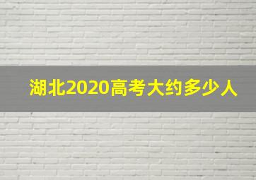 湖北2020高考大约多少人