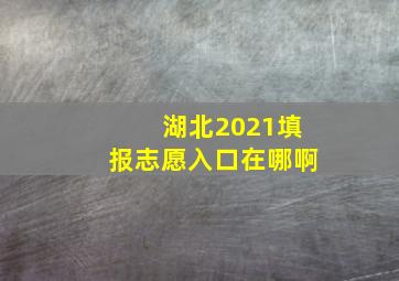 湖北2021填报志愿入口在哪啊