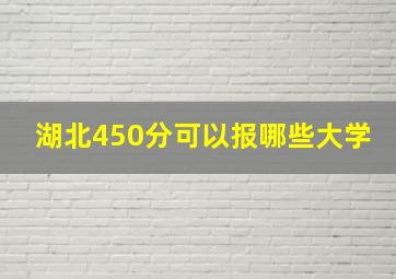 湖北450分可以报哪些大学