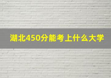 湖北450分能考上什么大学