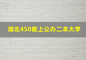 湖北450能上公办二本大学