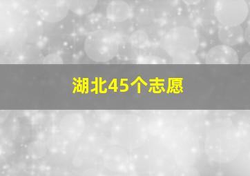 湖北45个志愿