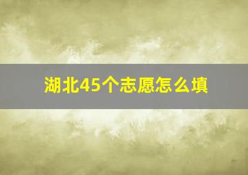 湖北45个志愿怎么填