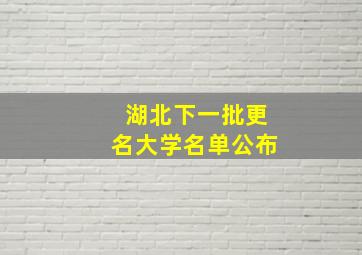 湖北下一批更名大学名单公布