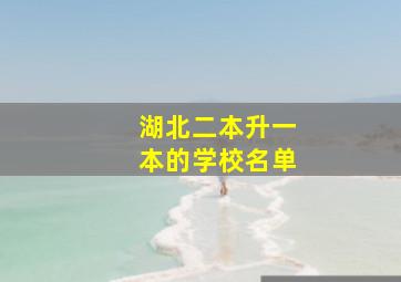 湖北二本升一本的学校名单