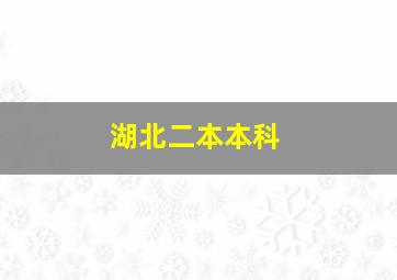 湖北二本本科