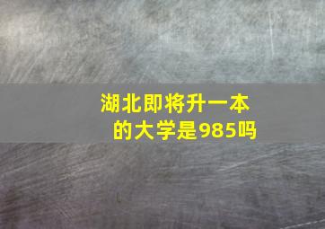 湖北即将升一本的大学是985吗