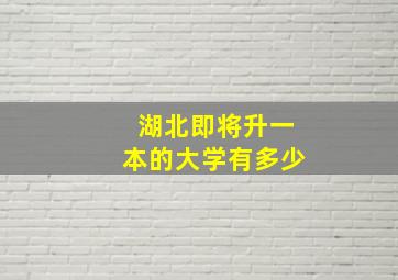 湖北即将升一本的大学有多少