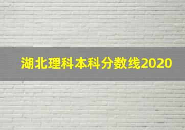 湖北理科本科分数线2020