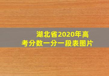 湖北省2020年高考分数一分一段表图片