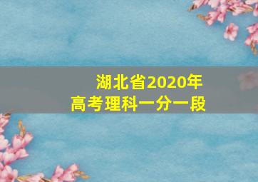 湖北省2020年高考理科一分一段