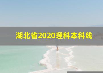 湖北省2020理科本科线