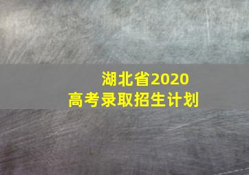 湖北省2020高考录取招生计划