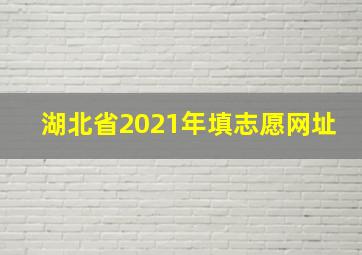 湖北省2021年填志愿网址