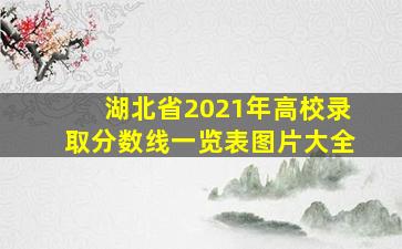 湖北省2021年高校录取分数线一览表图片大全