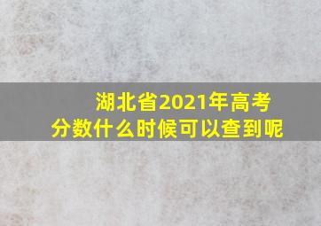 湖北省2021年高考分数什么时候可以查到呢