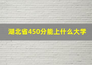 湖北省450分能上什么大学