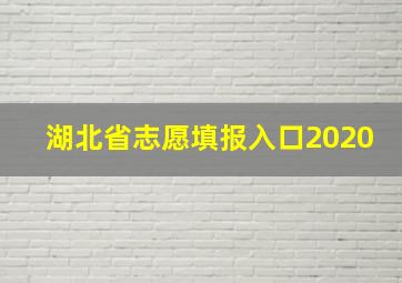 湖北省志愿填报入口2020