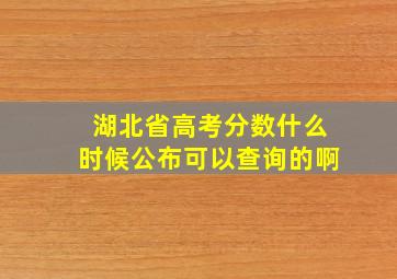 湖北省高考分数什么时候公布可以查询的啊