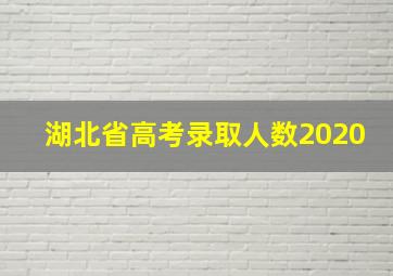 湖北省高考录取人数2020