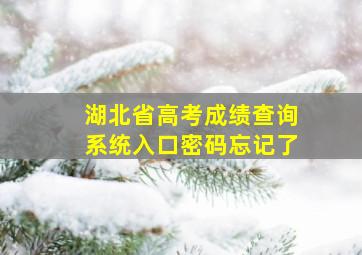 湖北省高考成绩查询系统入口密码忘记了