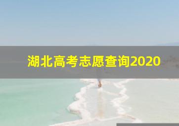 湖北高考志愿查询2020