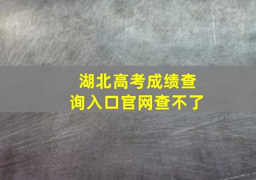 湖北高考成绩查询入口官网查不了