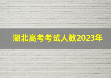 湖北高考考试人数2023年