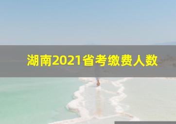 湖南2021省考缴费人数