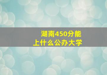 湖南450分能上什么公办大学