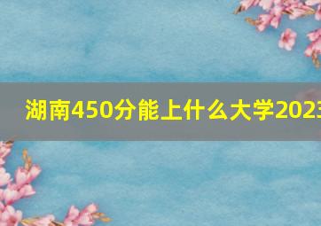 湖南450分能上什么大学2023