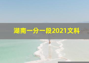 湖南一分一段2021文科