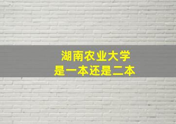 湖南农业大学是一本还是二本