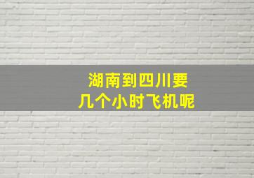 湖南到四川要几个小时飞机呢