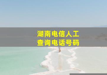 湖南电信人工查询电话号码